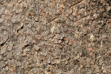 textured background stone background, wooden background, quotes background, rough surface