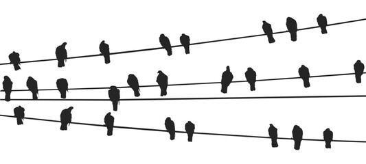 vector birds on wire