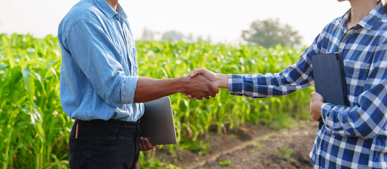 Shaking hands Asian farmer works and monitors the growth of corn plants in a corn field to prepare...