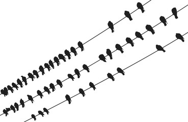 vector birds on wire