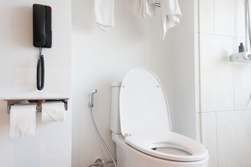 White toilet bowl and tissue paper roll in the bathroom at home.