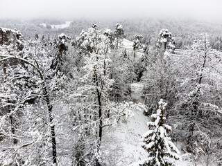 Fototapeta premium Snowy mountain landscape. Trees covered with snow. Drone aerial view