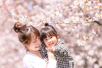 満開の桜の中、娘を抱く母親
