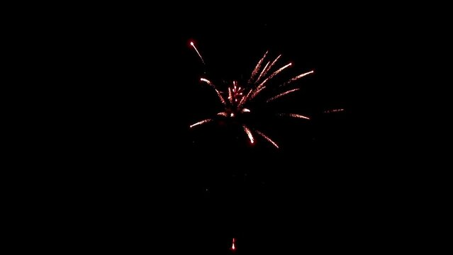 Explosion of bright colorful part of fireworks on black background to create a set salute on video for holiday new year, birthday, wedding or other celebration.