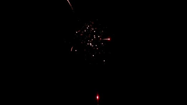 Explosion of bright colorful part of fireworks on black background to create a set salute on video for holiday new year, birthday, wedding or other celebration.