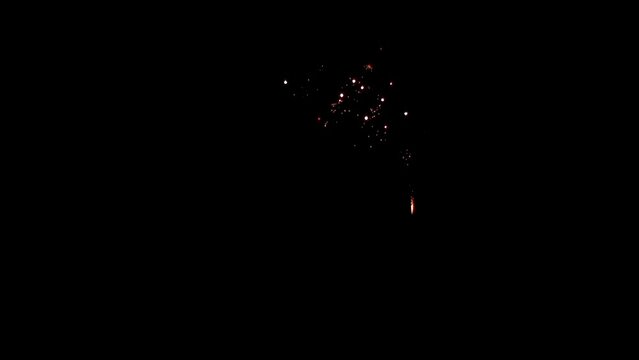 Explosion of bright colorful part of fireworks on black background to create a set salute on video for holiday new year, birthday, wedding or other celebration.