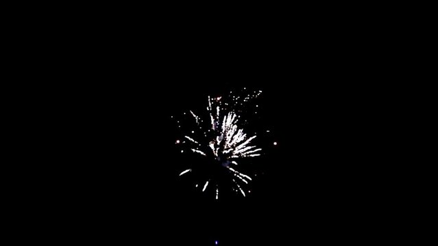 Half-round of bright colorful firework on black background to create a set salute on video for holiday.