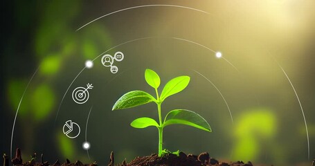 Green plants growing at sunlight Infographic loop 4K Green energy technology Infographics hologram Green plants