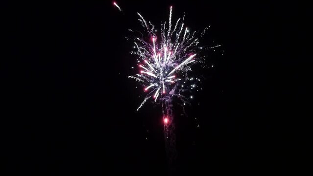 Explosion of bright colorful part of fireworks on black background to create a set salute on video for holiday new year, birthday, wedding or other celebration.