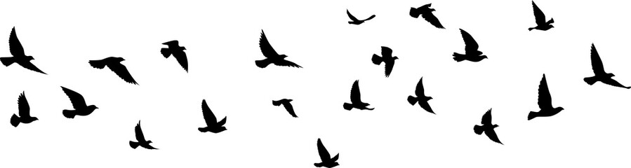 Fototapeta na wymiar Flying birds silhouettes pattern wallpaper. PNG transparent. isolated bird flying. tattoo design. template for card, package, and wallpaper. 