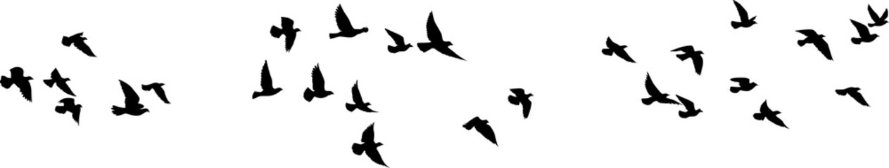 Obraz na płótnie Canvas Flying birds silhouettes pattern wallpaper. PNG transparent. isolated bird flying. tattoo design. template for card, package, and wallpaper. 