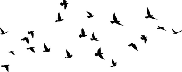 Fototapeta na wymiar Flying birds silhouettes pattern wallpaper. PNG transparent. isolated bird flying. tattoo design. template for card, package, and wallpaper. 
