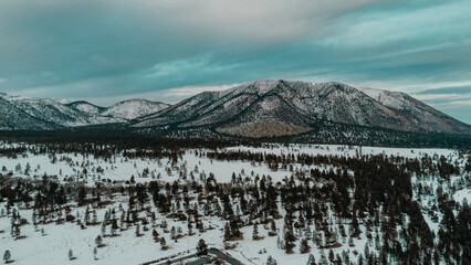 Obraz premium gusramos23