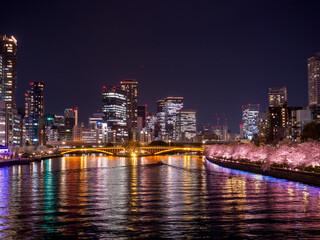 天満橋からの夜桜