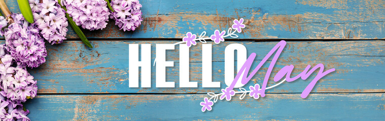Beautiful flowers and text HELLO, MAY on wooden background