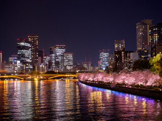 天満橋からの夜桜