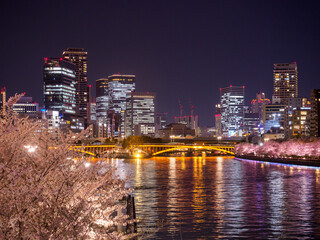 Fototapeta na wymiar 天満橋からの夜桜