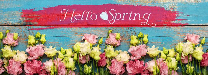 Beautiful flowers and text HELLO, SPRING on wooden background © Pixel-Shot