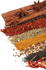 Rows of Spices - Isolated