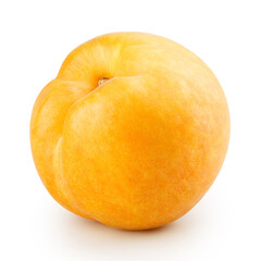 Apricot