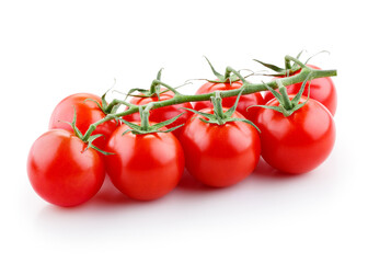 Fresh bunch of cherry