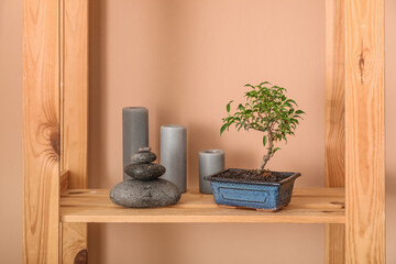 Bonsai tree, spa stones and candles on shelf near beige wall