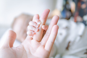 Newborn baby holding parent's hand, baby hand