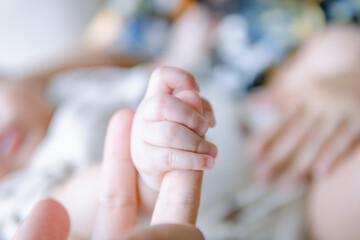 Newborn baby holding parent's hand, baby hand