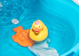 hora del baño pato al agua