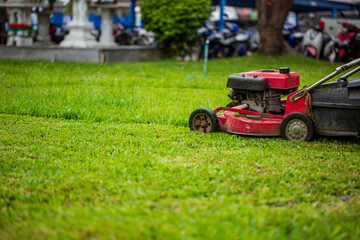 Red Lawn mower cutting grass