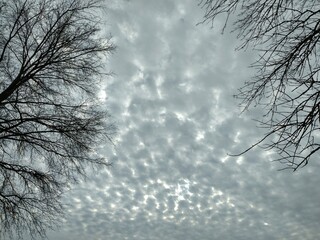 Highbanks Bare Branches Framing Dotted, Bright Sky