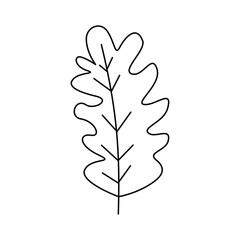leaf outline hand drawn 