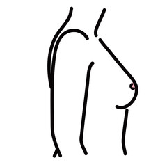 裸体の女性の上半身を横から見たイラスト
