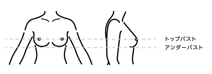 裸体の女性の上半身のイラストのセット
