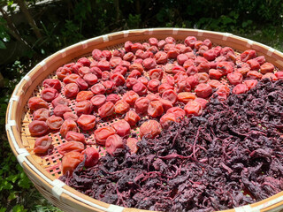 手作りの梅干しと赤紫蘇