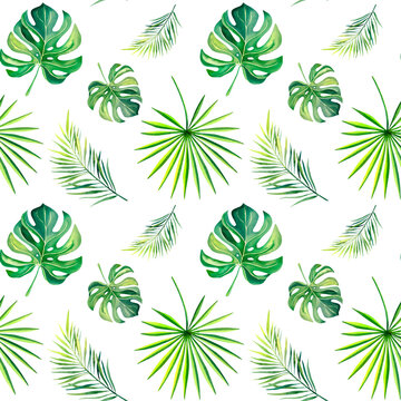 A pattern of tropical plants. Monstera. The palm branch. Watercolor illustration. Nature of the tropics. Collage of monstera and palm trees. Mosaic. © Marina