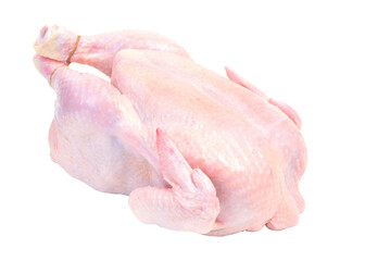 Raw chicken isolated on white