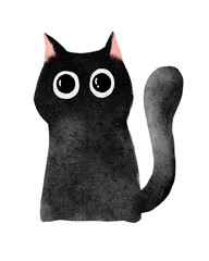 black cat on white