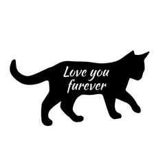 You me and the cats svg, cat svg, cat SVG Bundle, Hand drawn inspirational quotes about cats.