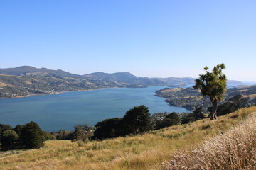 Overlooking Otago Harbour near the city of Dunedin on New Zealand's South Island.