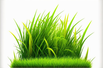 Fresh green grass lawn in the springtime, isolated on a white background. Generative AI