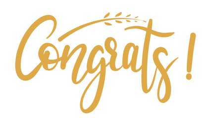 Graduation drawn calligraphy set in congratulations isolated on white background, Vector illustration EPS 10