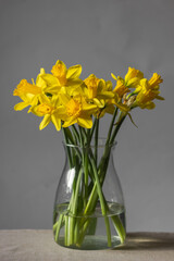 Bouquet of blooming yellow narcissus or daffodils flowers in glass vase on white background. Easter decoration at home.