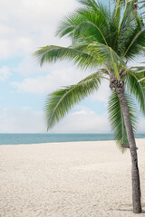 Summer beach background. White Sand and sea. Palm tree and amazing cloudy blue sky at tropical beach island in Indian Ocean.