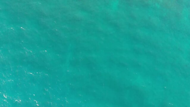 Playa Rep&uacute;blica Dominicana, Caribe