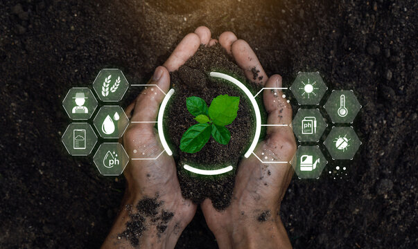 Smart farming holding young plant. Smart farming and precision agriculture 4.0, agriculture concept.