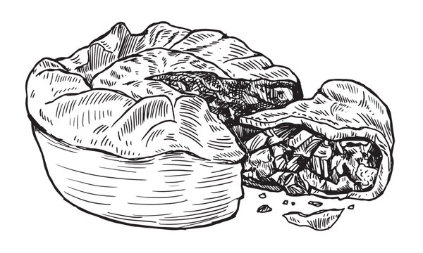 Hand drawn meat pie illustration