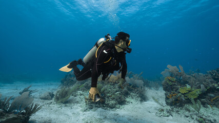 dive instructor guiding underwater in mexico