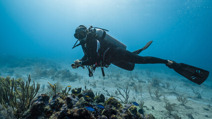 female diver posing among the corals