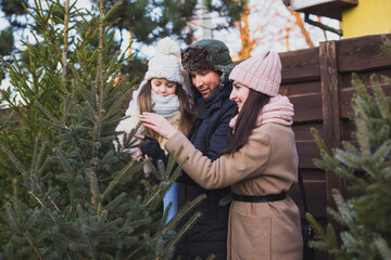 Family together choose the Christmase tree for the evening celebration